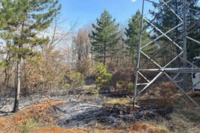 Enerji nakil hattında başlayan yangın ormanlık alana sıçradı