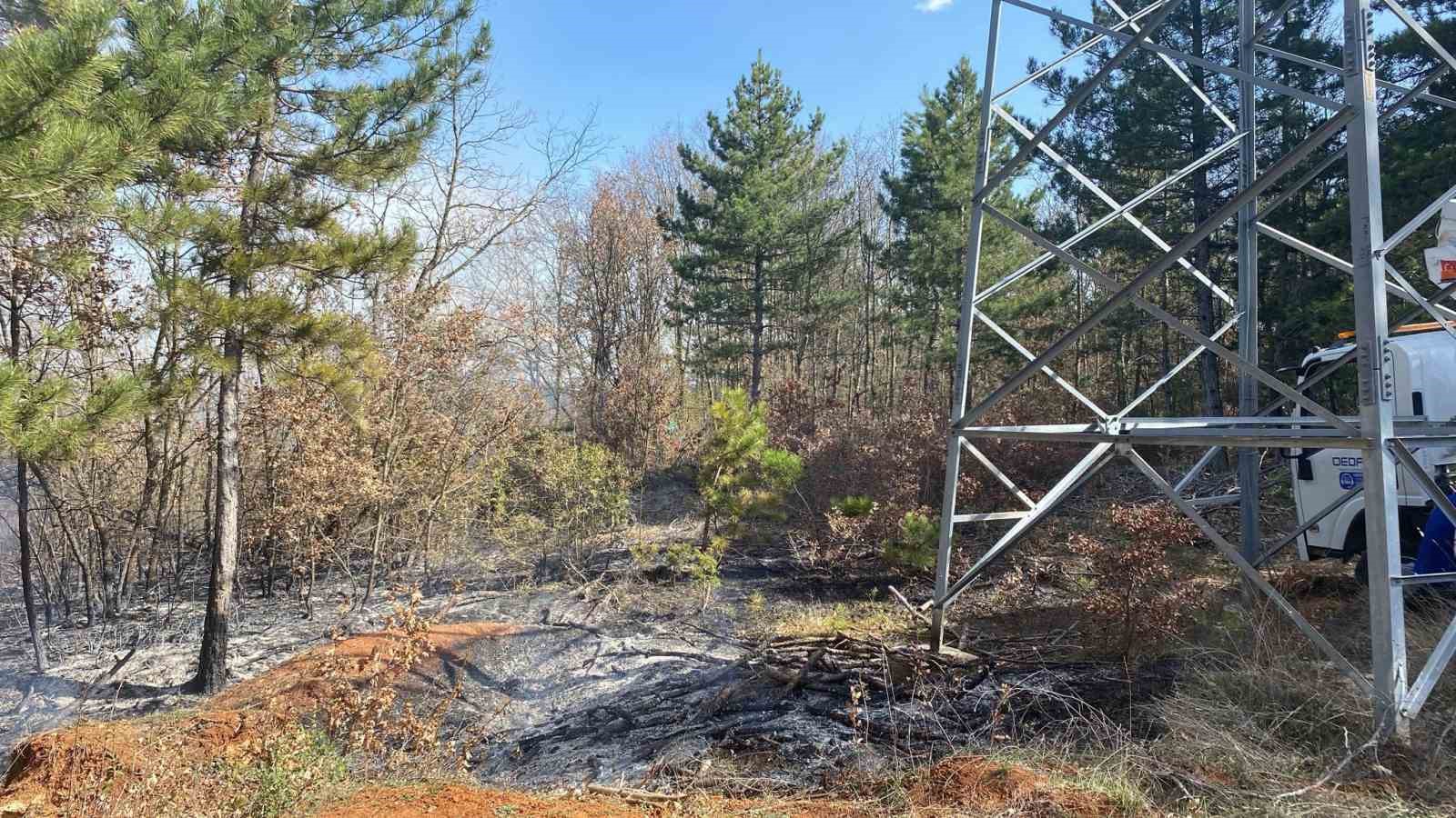 Enerji nakil hattında başlayan yangın ormanlık alana sıçradı