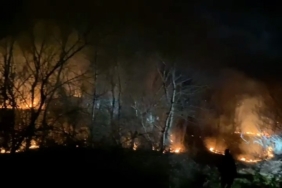 Bursa’da ormanlık alanda yangın