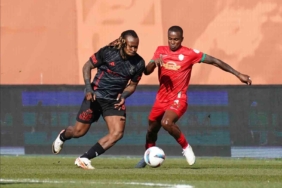 Trendyol 1. Lig: Pendikspor: 0 - Amed SF: 1