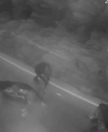Sarıyer’de İETT otobüsü ile hafif ticari aracın çarpıştığı kaza güvenlik kamerasında