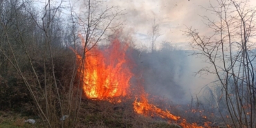 Havalar ısındı, yangınlar başladı