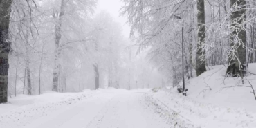 Kartepe’de lapa lapa kar yağışı: O bölge beyaza büründü