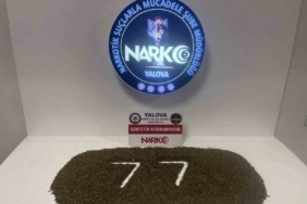 Yalova’da uyuşturucu operasyonlarında 3 tutuklama