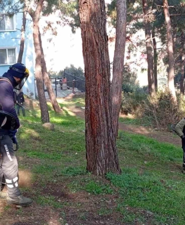 Gemlik’te Yeşil Seferberlik