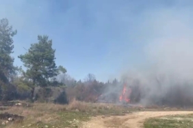 Bursa’da korkutan orman yangını: Müdahale sürüyor