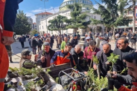 Kocaali’de vatandaşlara ücretsiz meyve fidanı dağıtıldı