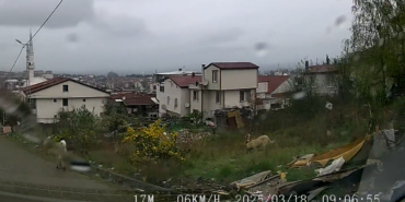 Yalova’da sokak köpeklerinin saldırdığı çocuk ağır yaralandı