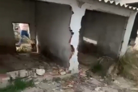 Erdek’te barınak çilesi: Belediyenin ilgisizliği pes dedirtti