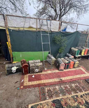 Tekirdağ’da horoz dövüşüne operasyon: Ring boş, kafes dolu