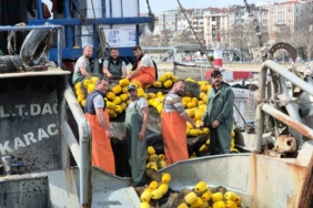 Marmara’da müsilaj erken paydos ettirdi