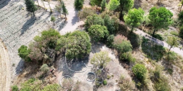 Botanik bahçesi yeni büyümeye devam ediyor