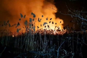 İznik’te sazlık alanda korkutan yangın