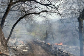 Gönen’de orman yangını: Müdahale sürüyor