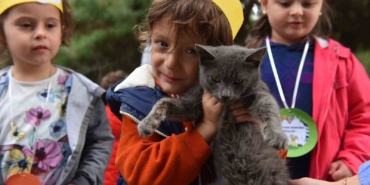 Yıldırım’da 625 patili dost sıcak yuvaya kavuştu