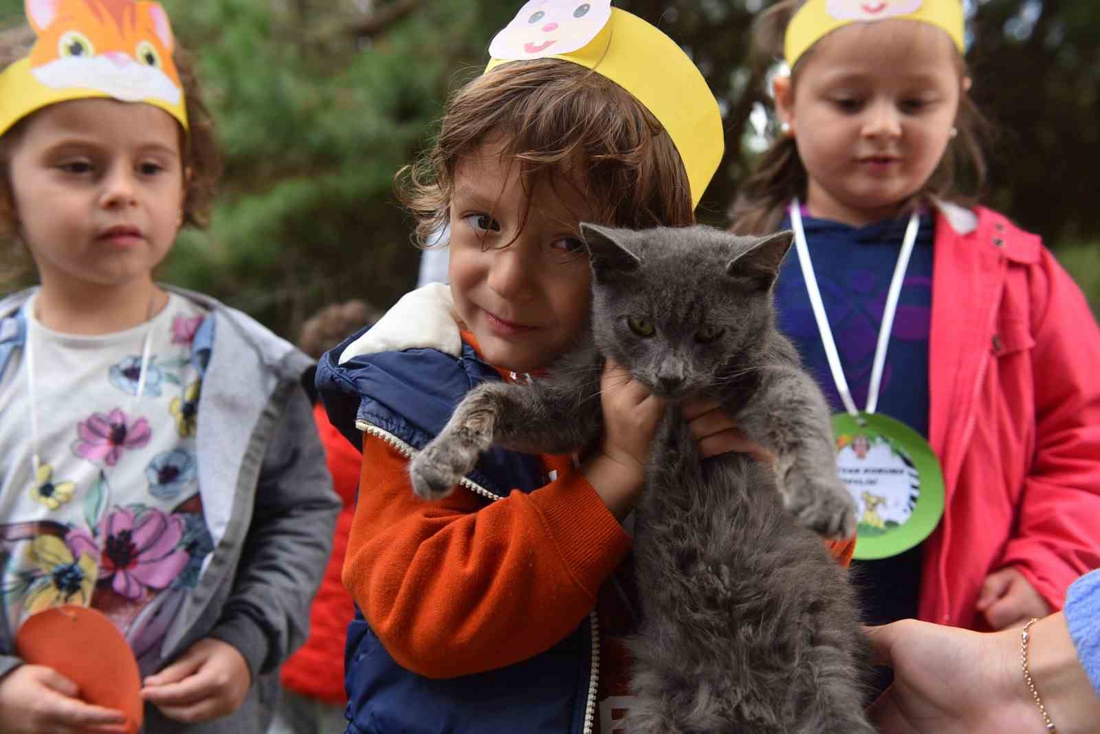 Yıldırım’da 625 patili dost sıcak yuvaya kavuştu