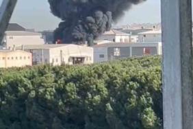 Tuzla Deri Organize Sanayi Bölgesi’nde yangın: Alevlere müdahale sürüyor