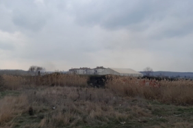 Tekirdağ’da otluk alanda yangın