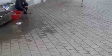 Yusuf dayının leyleği ’Bilal’ bu yıl da geldi