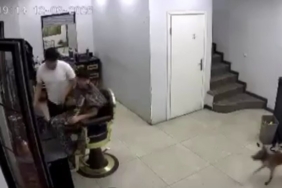 Zincirini koparan köpek kuaförde müşteriye ısırdı