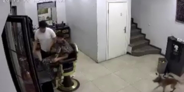 Zincirini koparan köpek kuaförde müşteriye ısırdı