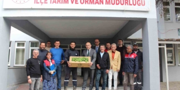 Kırklareli’nde üreticilere hıyar fidesi dağıtıldı