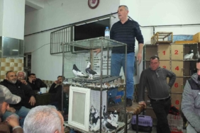 Balıkesir’de güvercin meraklıları buluştu