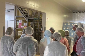 Akademi Öğretmenleri ayran fabrikasını inceledi