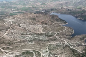 Çanakkale’de yanan ormanlar yangına dayanıklı fidanlarla yeniden yeşerdi