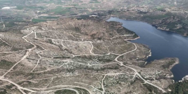 Çanakkale’de yanan ormanlar yangına dayanıklı fidanlarla yeniden yeşerdi