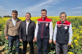 Tekirdağ İl Tarım Müdürü: "Arılar ölürse, hayat da durur"