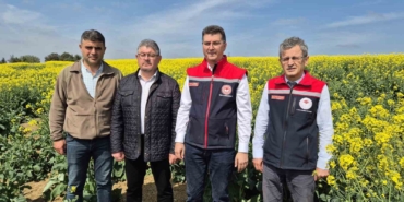 Tekirdağ İl Tarım Müdürü: "Arılar ölürse, hayat da durur"