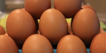 Yumurtada fiyatlar düşünce ihracatta fon kesintisinin kaldırılması istendi