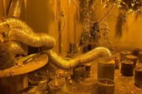 Bursa’da dev operasyon: 24 şüpheli yakalandı, 25 kilo uyuşturucu ele geçirildi