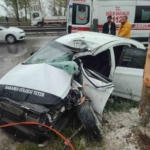 Adapazarı’nda ağaca çarpıp hurdaya dönen otomobildeki 2 kişi yaralandı