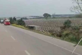 Kontrolden çıkan tır tarlaya uçtu