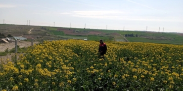 Kırklareli’nde zirai dona karşı hasar tespit başladı