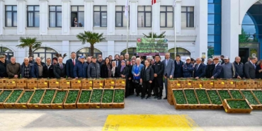 Yalova’da çiftçilere 375 bin adet sebze fidesi dağıtıldı