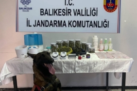 Balıkesir’de jandarmadan kaçakçılık ve uyuşturucuya darbe: 81 şüpheliye işlem yapıldı