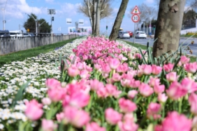 Sultangazi’nin cadde ve sokaklarına bahar geldi