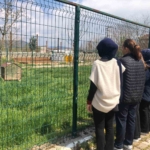 İmam hatip öğrencileri E-twinning projesi kapsamında hayvan barınağını ziyaret etti