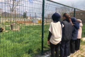 İmam hatip öğrencileri E-twinning projesi kapsamında hayvan barınağını ziyaret etti