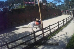 Çekmeköy Hayvanat Bahçesi’ndeki hayvanlar depremi böyle hissetti