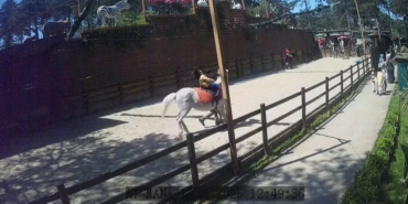 Çekmeköy Hayvanat Bahçesi’ndeki hayvanlar depremi böyle hissetti
