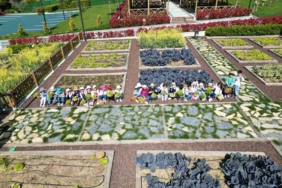 Maltepeli miniklerden ‘Çocuk Tarım Parkı’na ziyaret