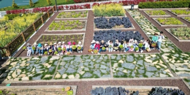 Maltepeli miniklerden ‘Çocuk Tarım Parkı’na ziyaret