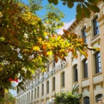 Kadir Has Üniversitesi’nden 4 Akademisyene BAGEP 2025 Ödülü