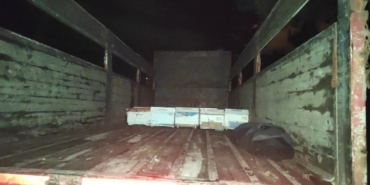 Arı kovanı hırsızları suçüstü yakalandı