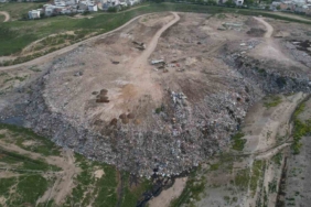 Osmangazi’de hayvan katliamı kenti ayağa kaldırdı