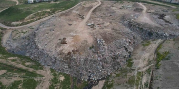 Osmangazi’de hayvan katliamı kenti ayağa kaldırdı